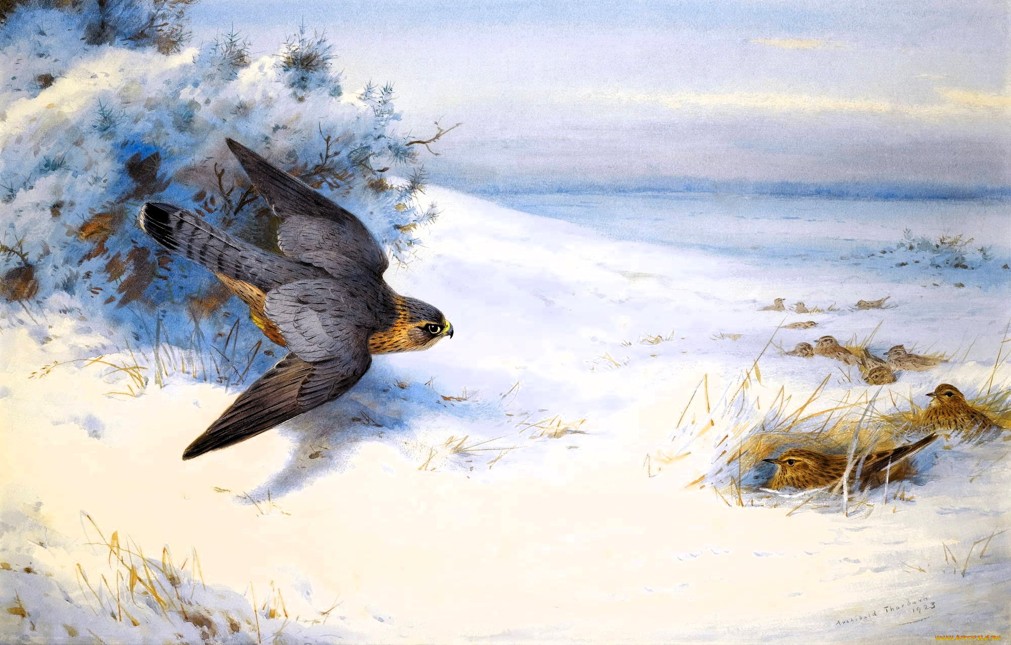 , archibald thorburn, , , , , , 